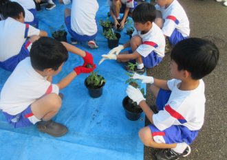 2025年9月11日　小学校スプレーギク教室3